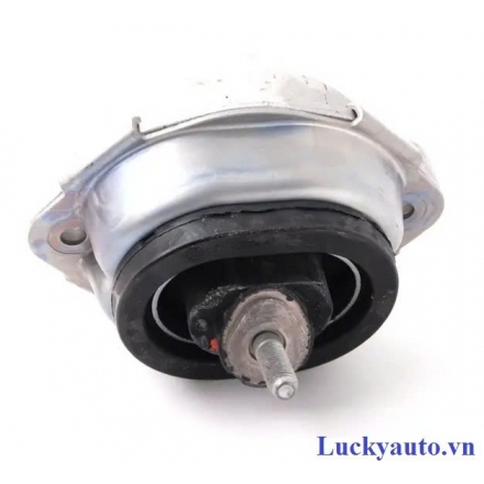 Cao su chân máy xe BMW X5_ 3002211120